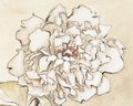 Image Not Available